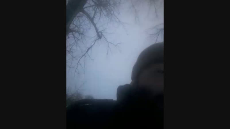 Эльшан Насиров - Live