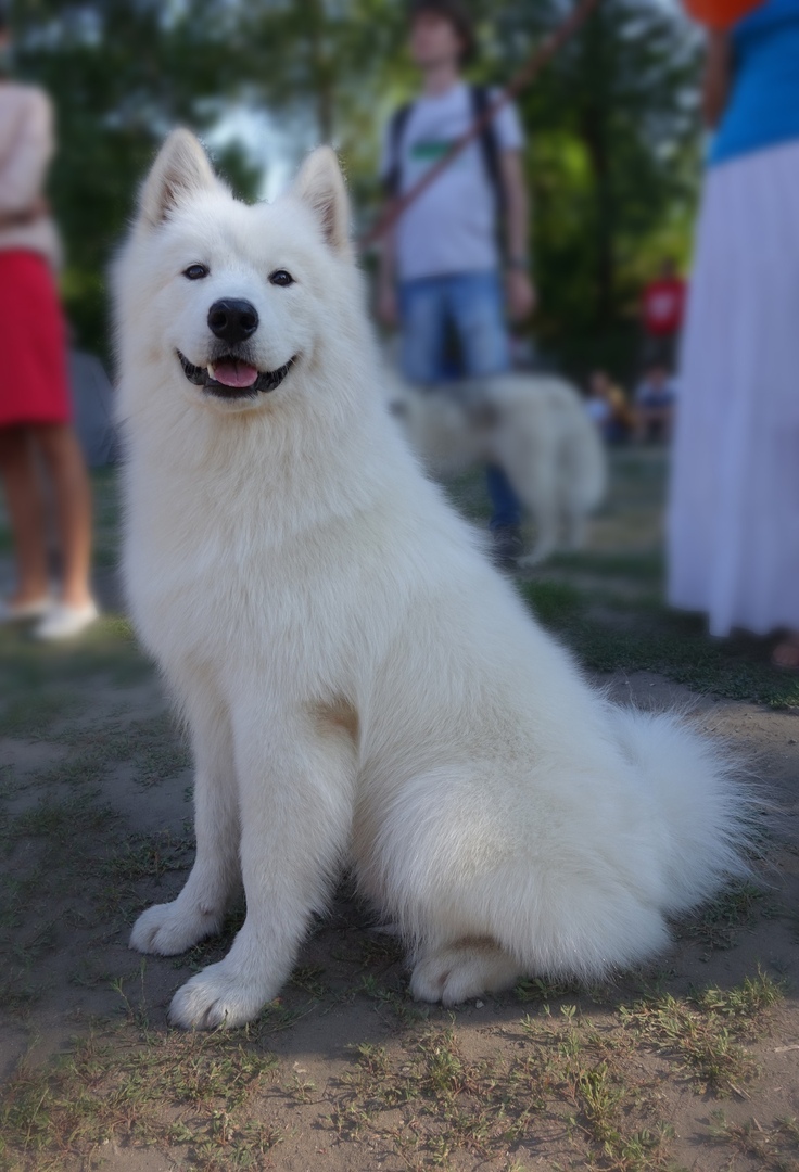 https://pp.userapi.com/c850120/v850120127/6a75/QwurlqYs8zA.jpg