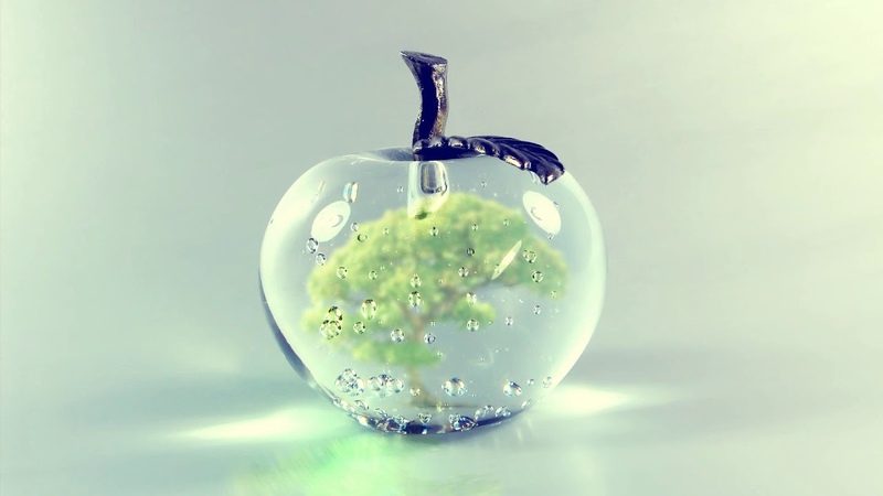 Glass Apple Bonzai - The Fist