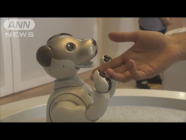 ソニー犬型ロボット「aibo」 新型がニューヨークに(180825)