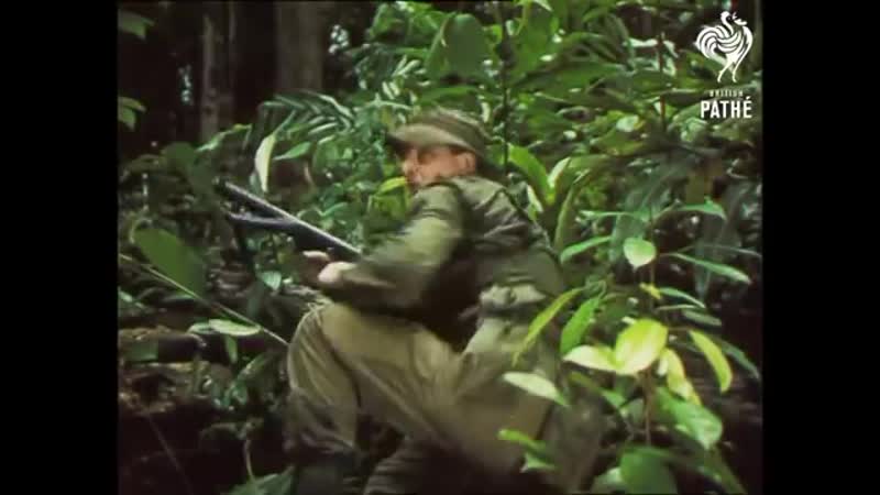 Ambush Reel 2 (1964)