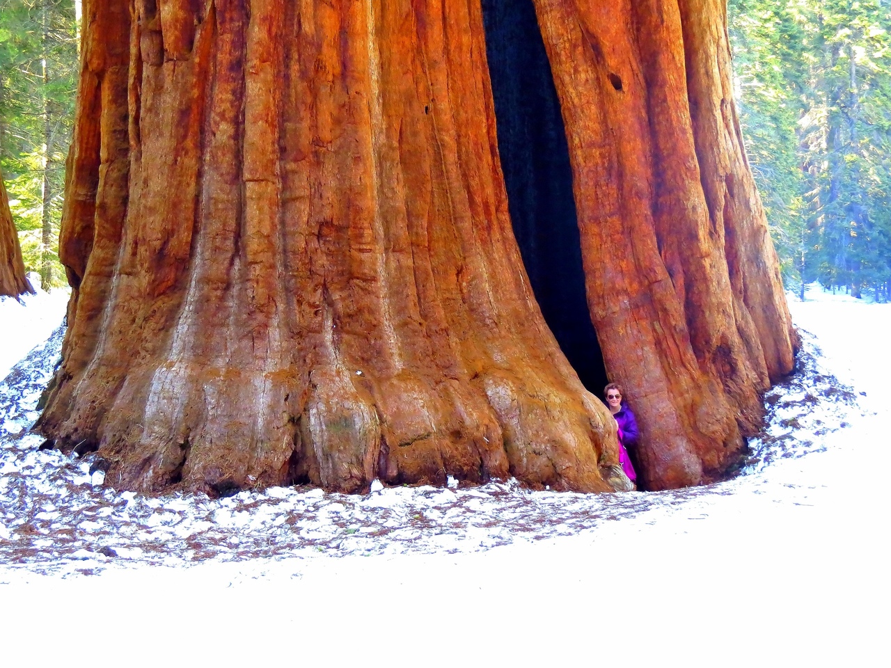 Ударим автопробегом по дикому западу! USA 2019 7-25 марта.