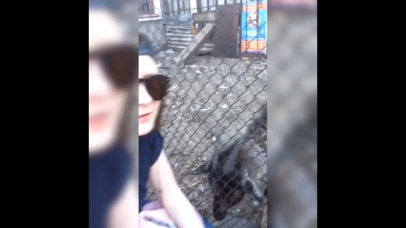 Коза-дереза 2 😂