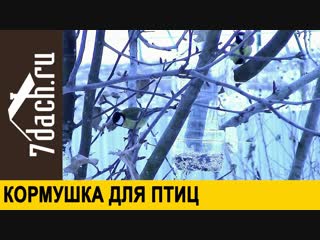 Кормушка для птиц из бутылки - 7 дач