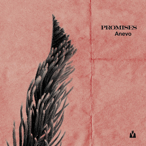 Anevo альбом Promises