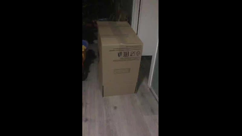 Received_330738747610847.mp4
