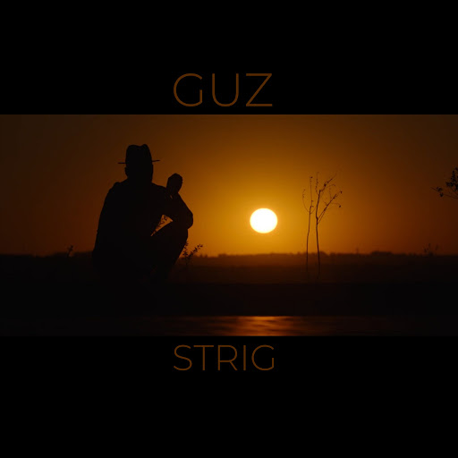 Guz альбом Strig