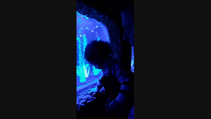 20190123_165956_001.mp4