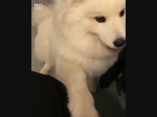 Я так же на ЗП смотрю