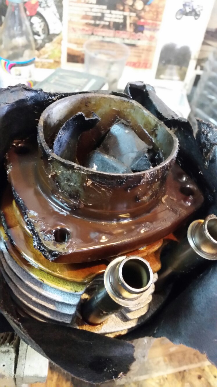 фотка для oppozit.ru