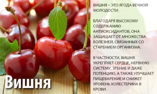 Кисели.
