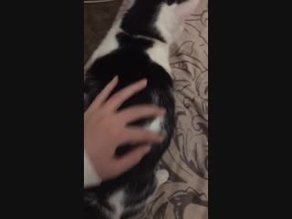 Кузя хочет домой!