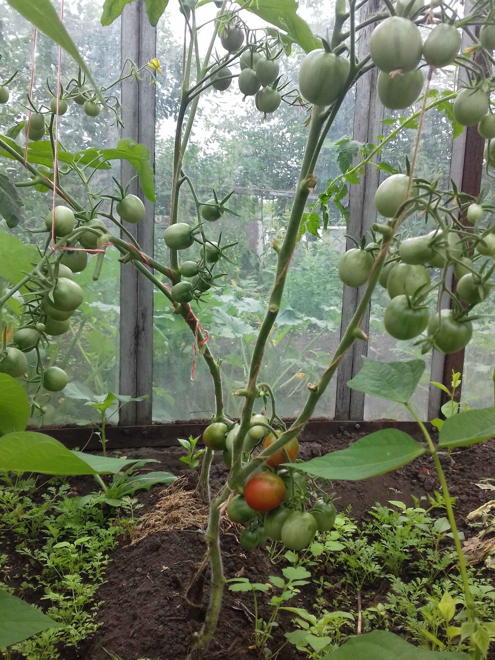 фотография из вКонтакте