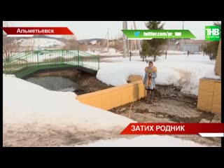 Жители Альметьевска встали на защиту городского родника