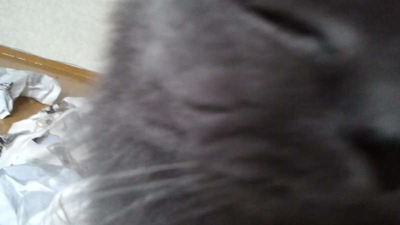 Video-2012-05-06-14-52-47