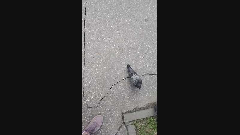 Ну Наташ, возьми газетку