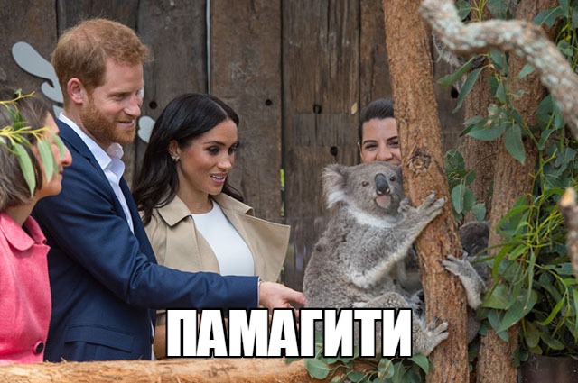 https://pp.userapi.com/c850136/v850136572/4fa7a/vxCr_i1WQwE.jpg