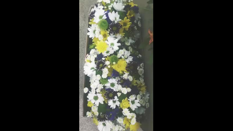 VID_40590208_051824_465.mp4