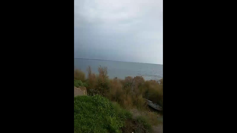 сырдария озен