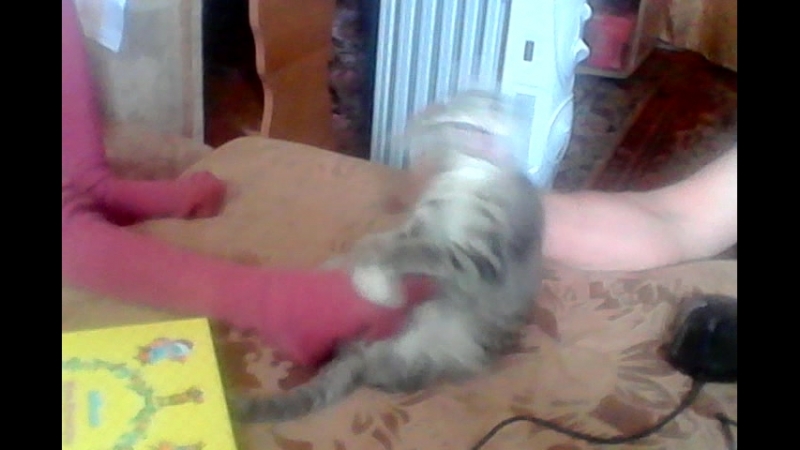 VID_20140610_141732