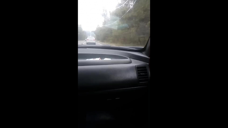 едем в медынь