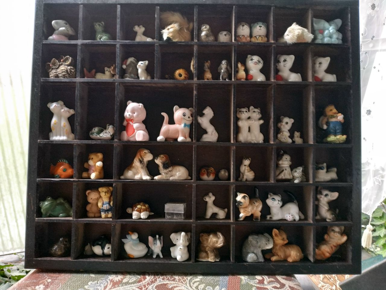 Кошки в нашей жизни. Кошки и все, что с ними связано.