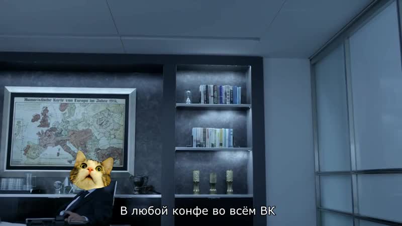 Самый влиятельный кот в ВК