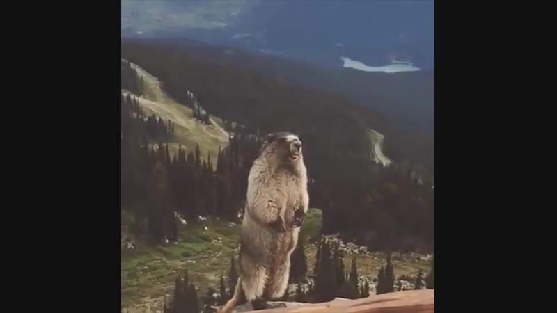 AAAAAAAA