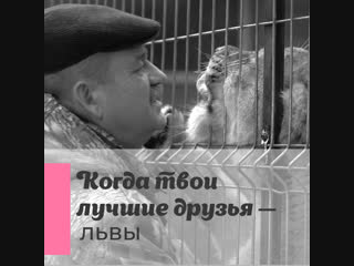 Как заботятся о диких животных в Центре передержки