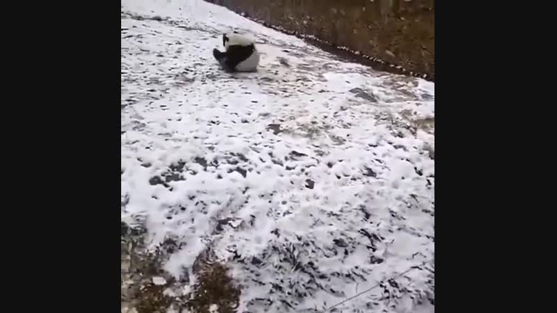 Радуйтесь каждому дню