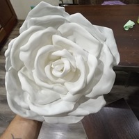 Наталья Яснюк