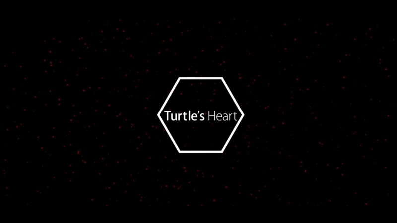 Turtles Heart - MILI - Fan Movie