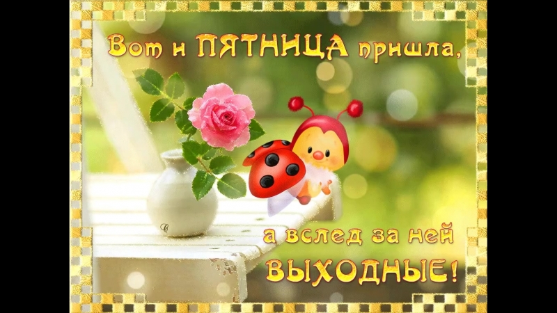 Doc232586380_472513561.mp4