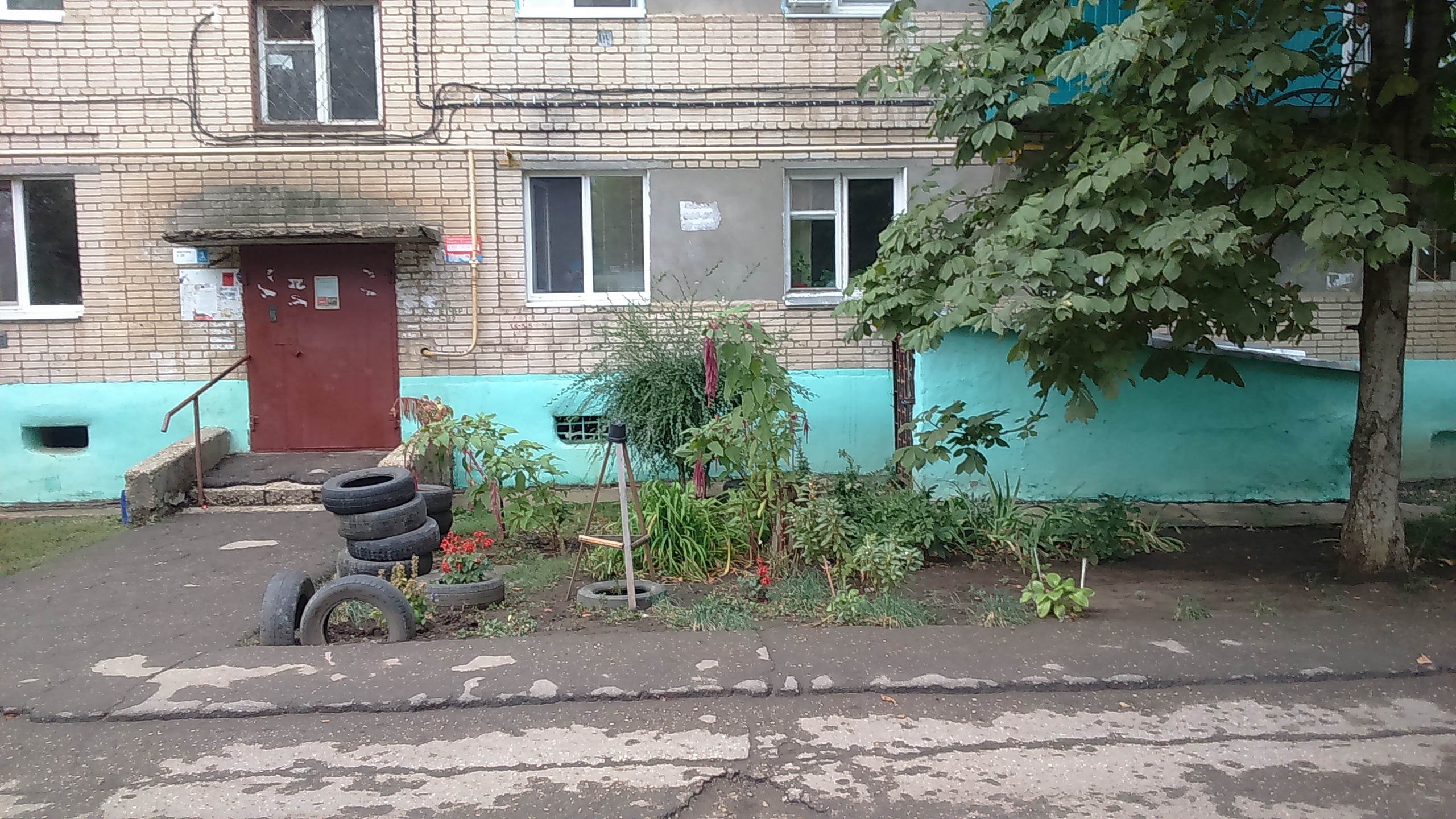 Фотография