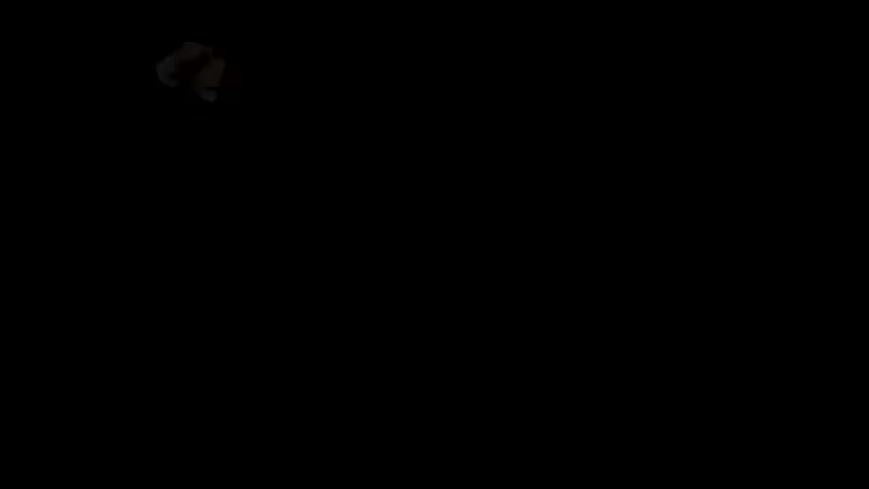 параша