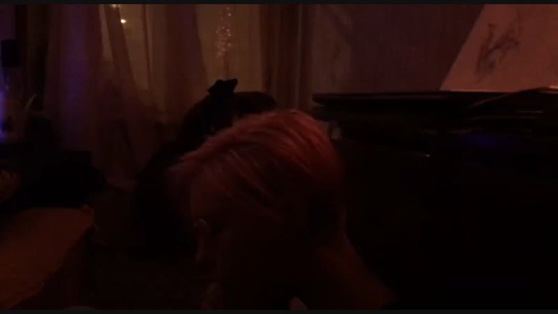 Zimnie posidelki