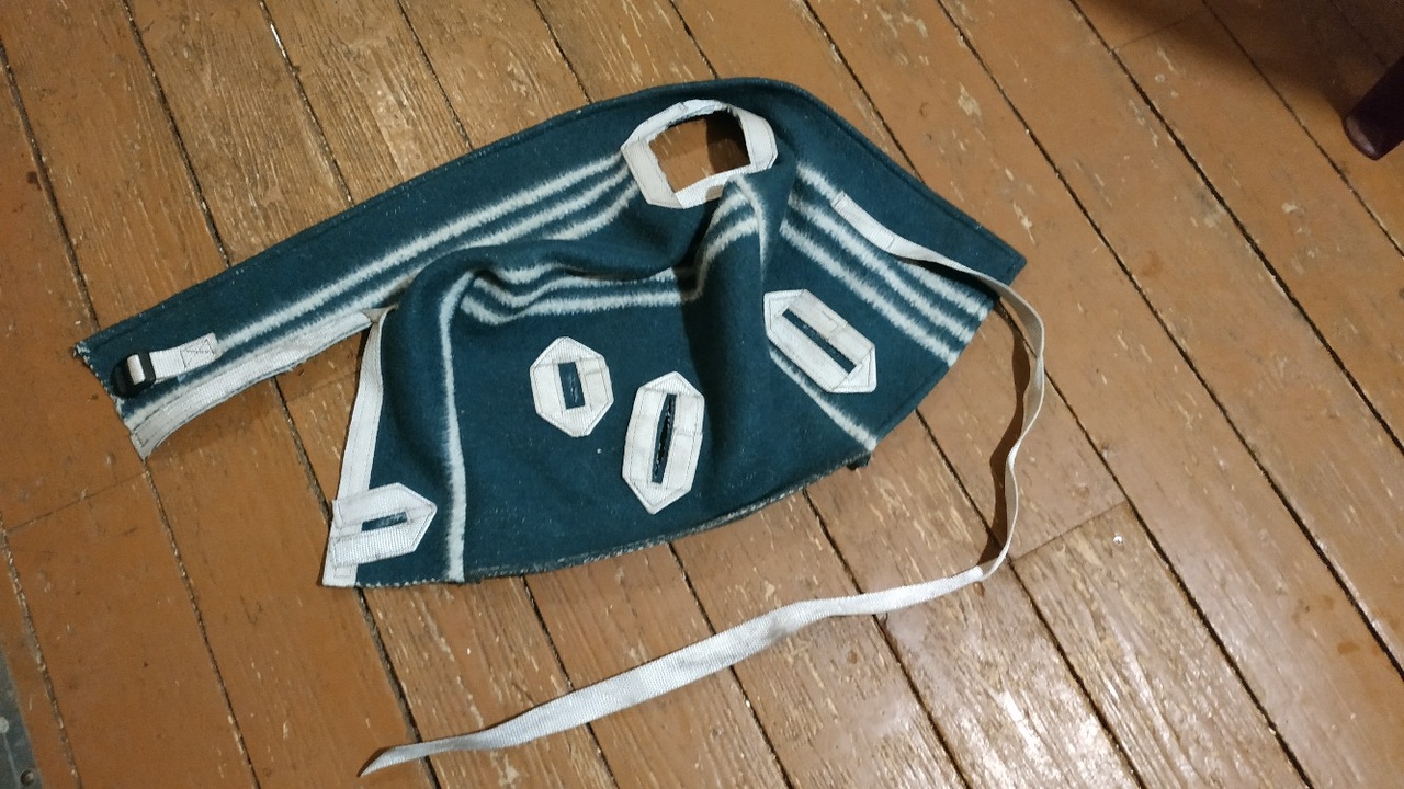 https://pp.userapi.com/c850224/v850224579/c752f/ofWWPRvwj98.jpg