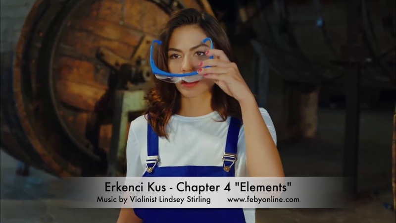 Early Bird - Chapter 4 Elements