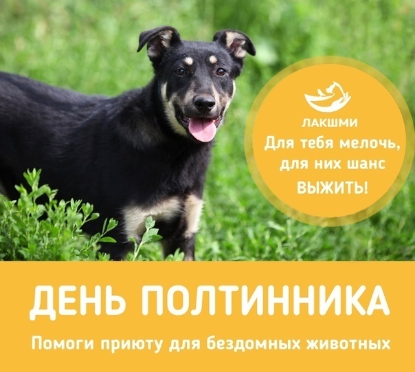 Рецепты обжоры