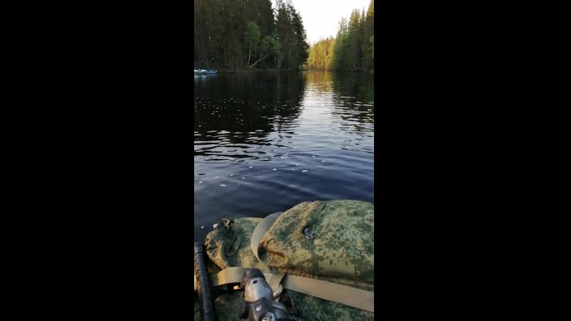 Турики
