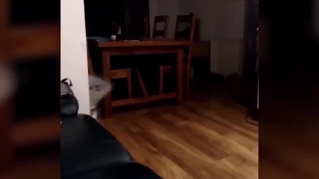 Туса