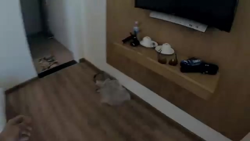 1рабочий день Жени