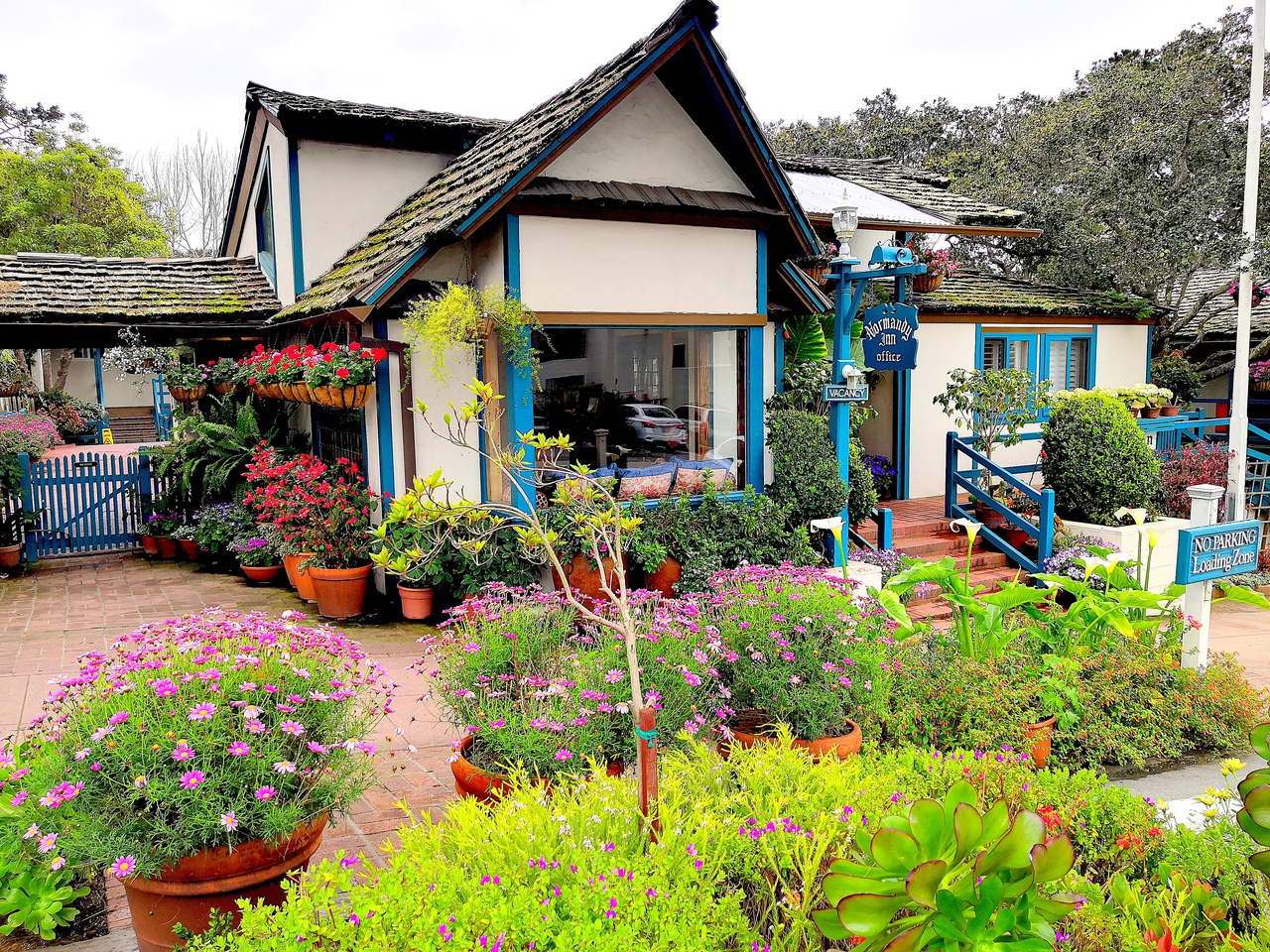 Ударим автопробегом по дикому западу! USA 2019 7-25 марта.