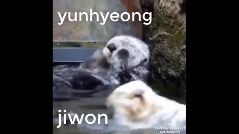 Yunhyeong and bobby be like