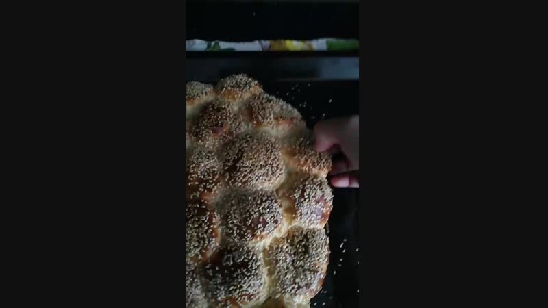 VID_20190116_120618.mp4