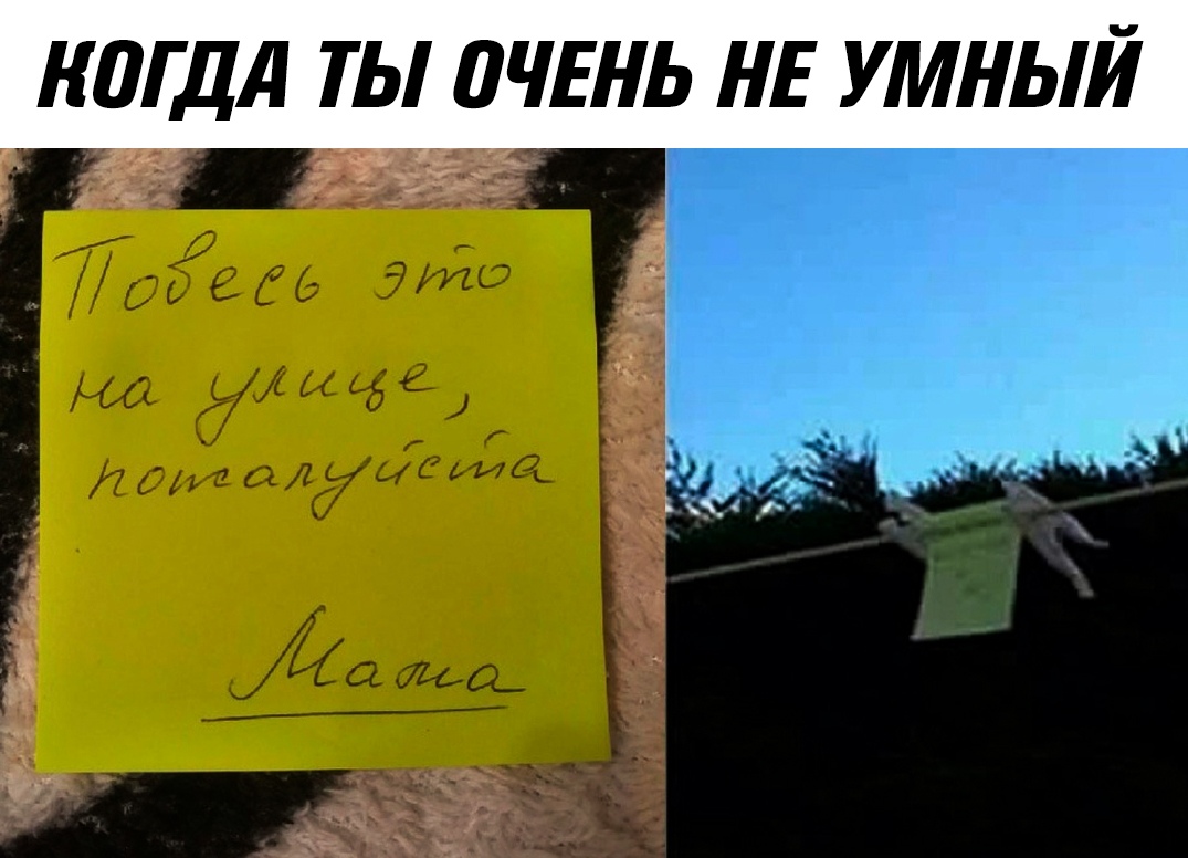 b59YQtPvqMs.jpg