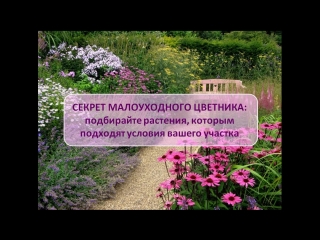 День 5. Цветочный марафон