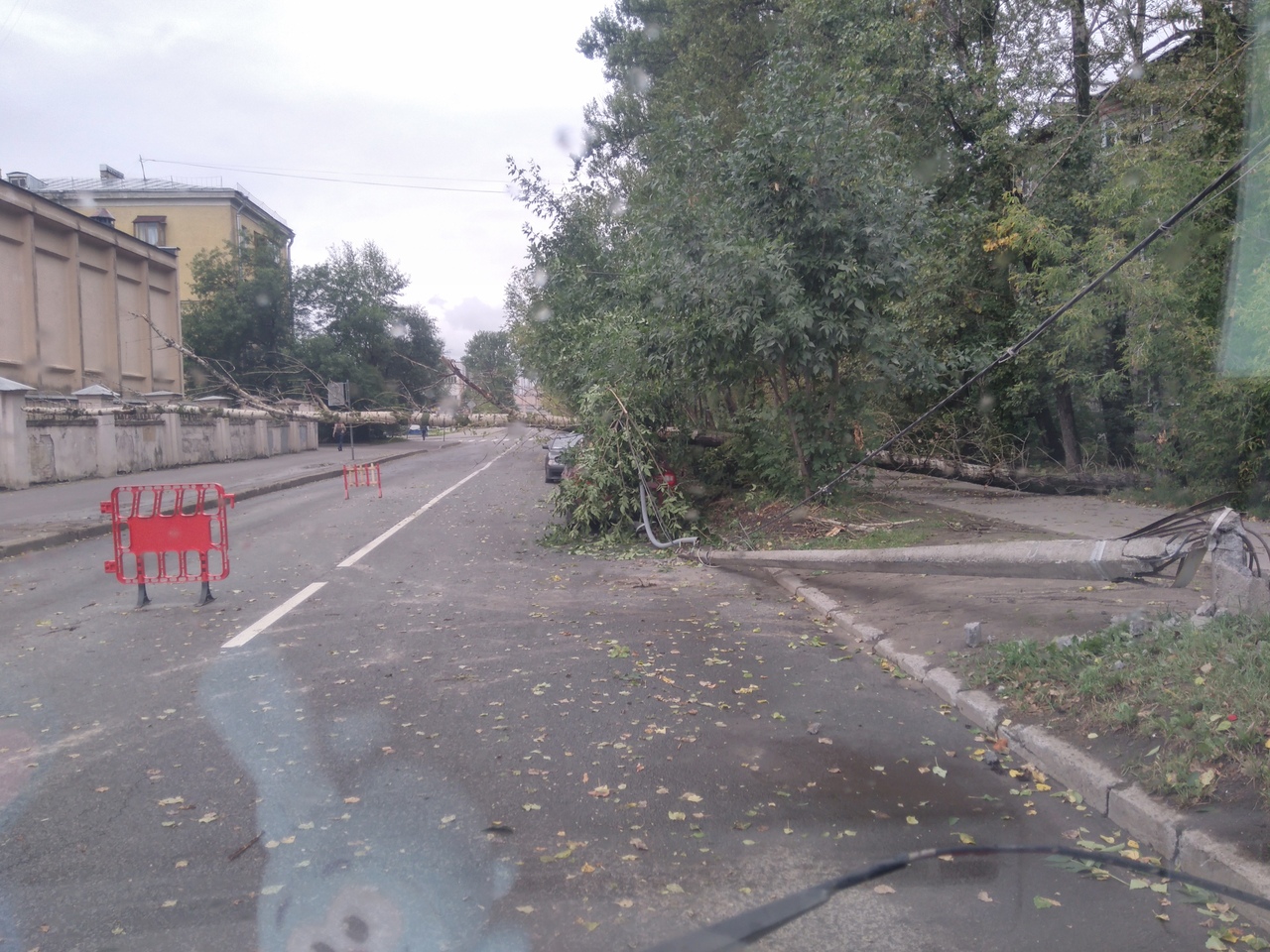 Штормовой ветер в Петербурге повалил десятки деревьев и дорожных знаков (фото)