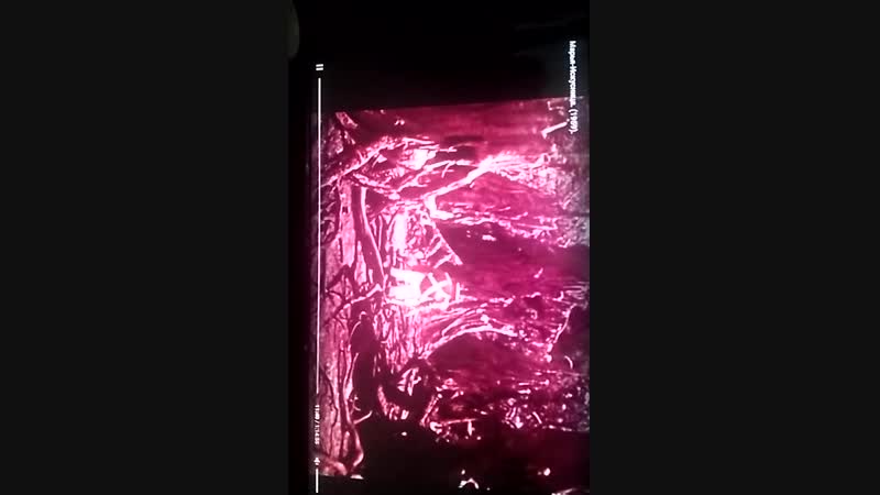 Snap_2018.06.13_21.04.20.mp4