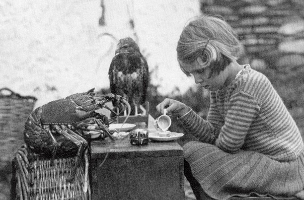 На этом снимке 1938 года запечатлена Энн Локли, пьющая чай .. с птенцом ястреба и шипастым лобстером. Энн жила вместе с родителями на острове Скокхольм в Великобритании, близ берегов Уэльса. Ее